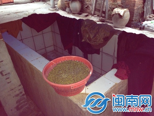 “毒豆芽”加工点