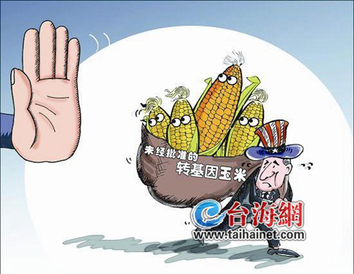 漳州检出5万吨转基因玉米