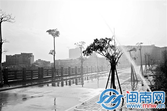 绿化景观带上的绿化水管漏水，水喷了十几米高