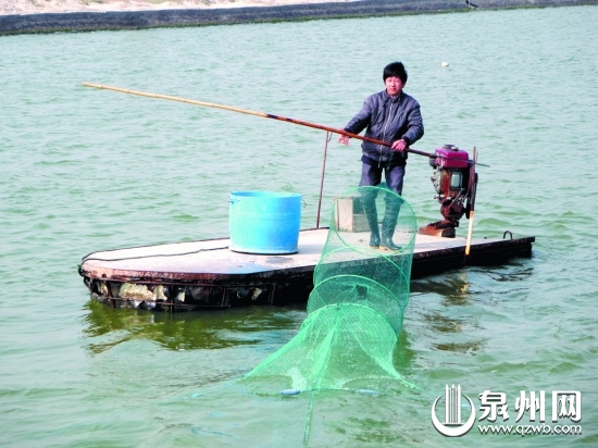 养殖员每天都要巡查蟹池的情况