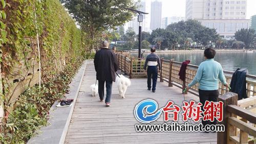 宠物在步道内随地大小便
