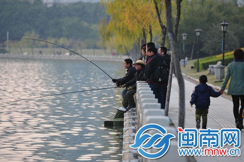 泉州市区西湖边悠然垂钓的人们