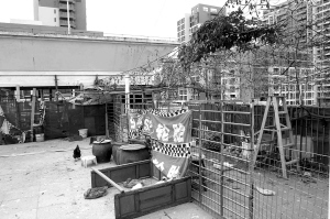 楼顶圈地养鸡