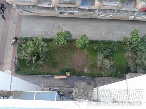 从父子俩跳楼位置往下看