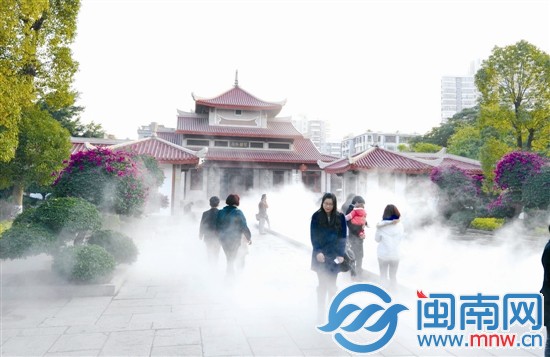 昨日的泉州东湖公园雾气蒸腾