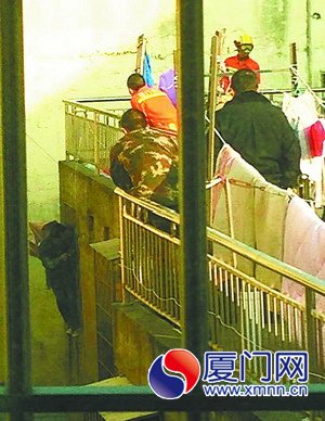 网友供图