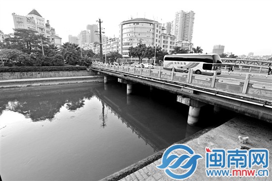漳州浦头港新浦路段，内沟河的水与去年相比变化不大 