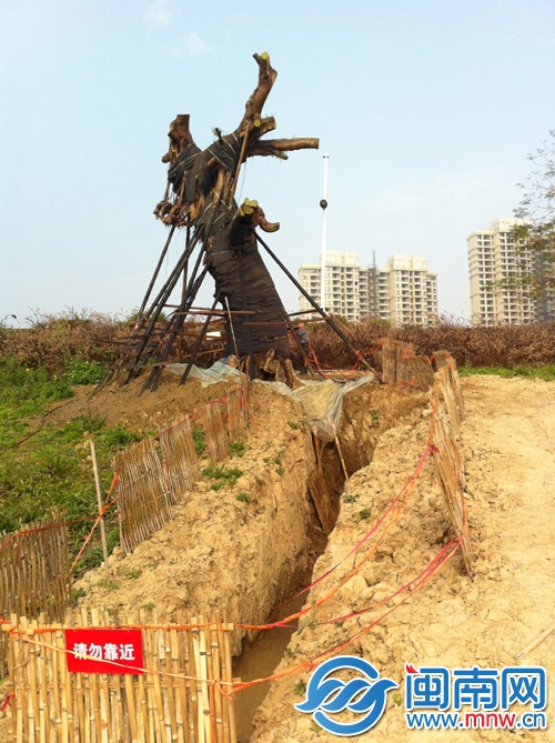 漳州西环城市片林公园元旦开园