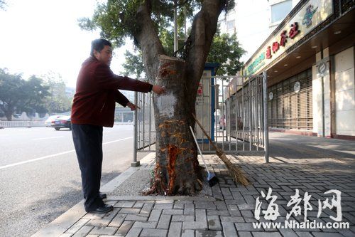 小车侧翻撞行道树 的哥与外来工砸窗救人