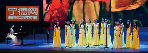 宁德师院举办音乐会迎新年