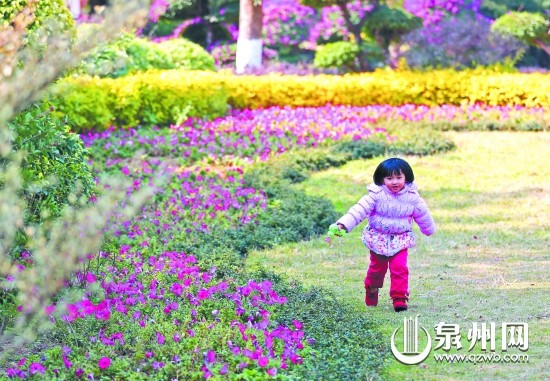 冬日暖阳下，奔跑在公园绿坪红花间，惬意得很