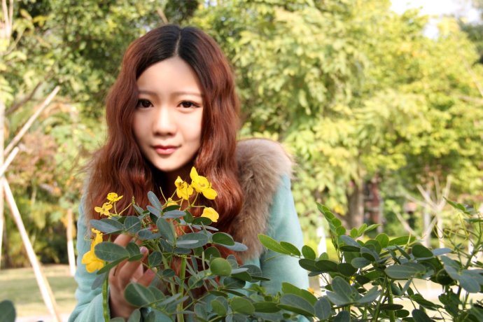黄花槐-艺术学院-党琦