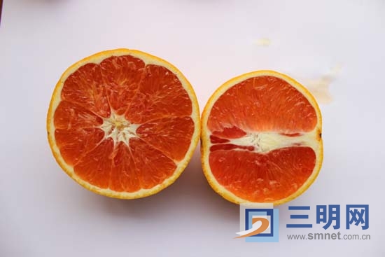 种美国红心橙新品种