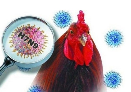 浙江再确诊2例人感染H7N9