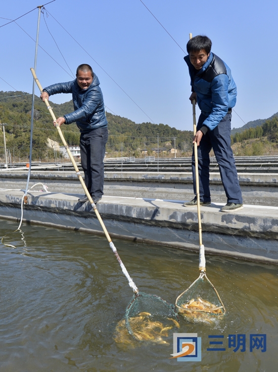 尤溪汤川乡冷泉水量充足