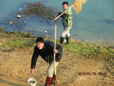 秦淮河源头惊现10公里死鱼带 1