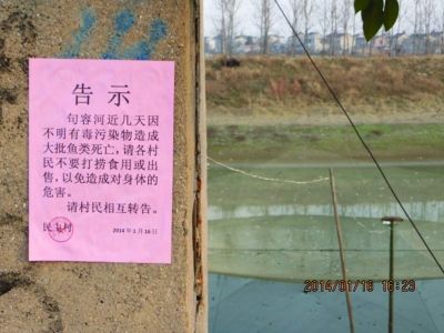 秦淮河源头惊现10公里死鱼带 4