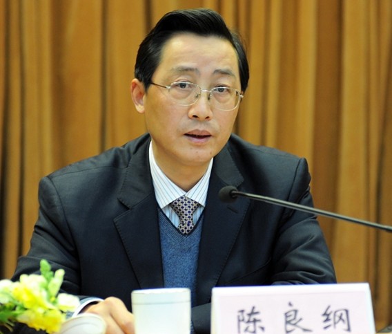 安徽国土资源厅原厅长陈良纲
