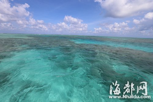 福州市民有口福！南海美济礁“爱国鱼”又丰收3