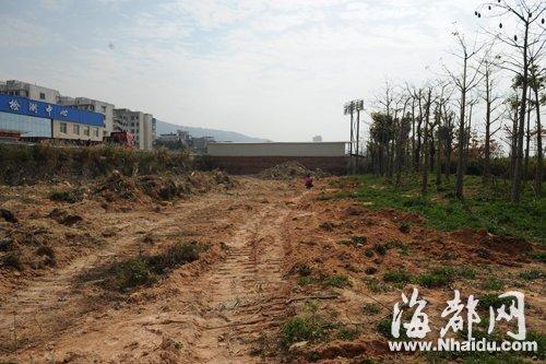 福州村民为开路 破坏600平米绿化带砍107棵树