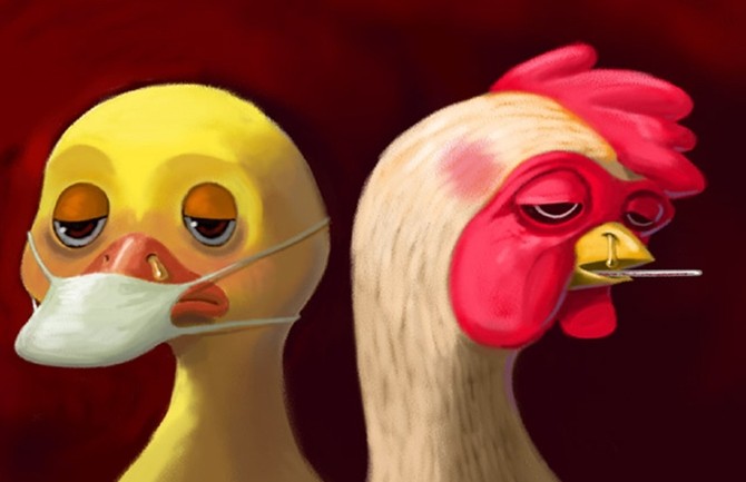 上海医生感染H7N9