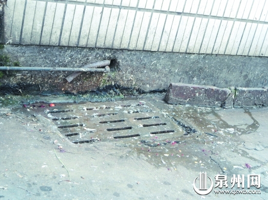 小区排污口还有不少鸡鸭毛