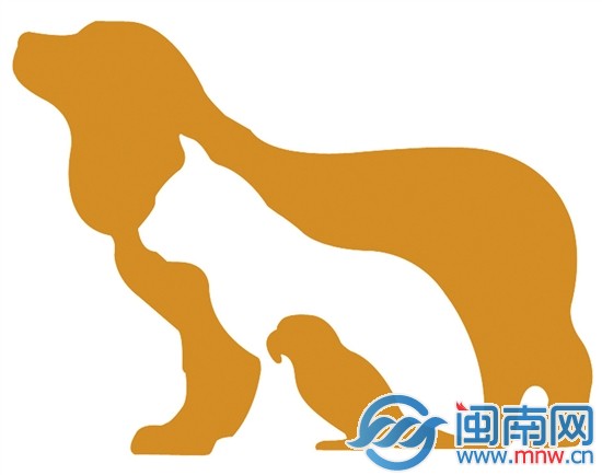 泉州宠物寄养市场
