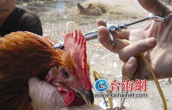 注射疫苗