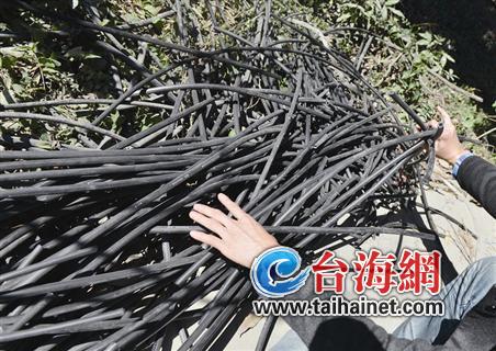 被盗割的电信电缆