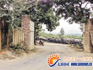 地下炼油厂内部空地上堆放着十余个圆柱形的油瓶