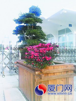 木质花箱替代简易护栏