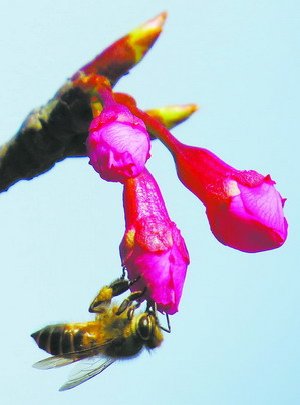 文屏路沿线2