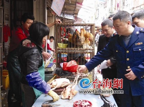 工商人员检查八市活禽市场