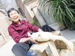 龙海村民红火过马年春节