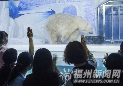 左海海底世界里