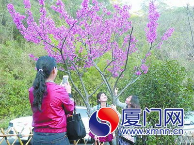 文曾路