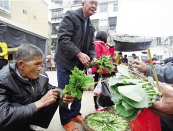 村民集市选菜苗