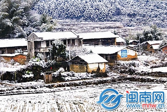 浦城九牧镇，田间地头一片白茫茫