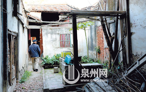三朝巷26号，古厝大厅已经变成一片小菜地，大厅部分 