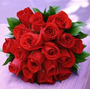 玫瑰花