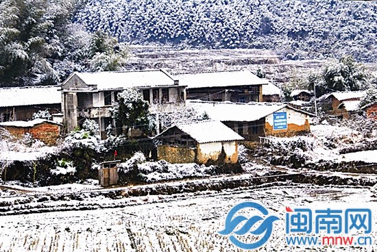 浦城九牧镇，田间地头一片白茫茫