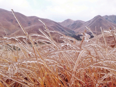 福建多地仍将降雪，图为柘荣草场雪景（网友“箴贺” 