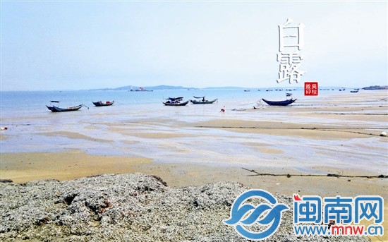 白露