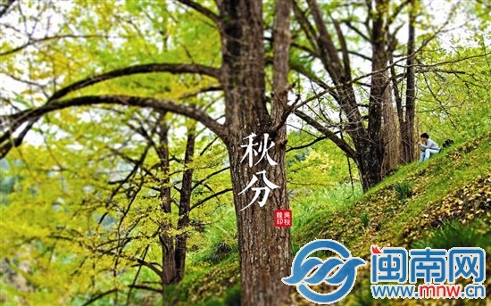 秋分