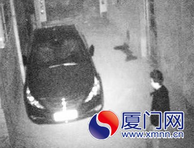 视频截图
