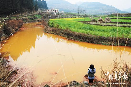 网友“小白”失落的乡愁