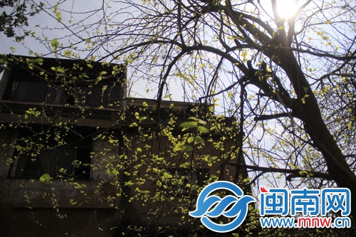 有阳光，心情更美好