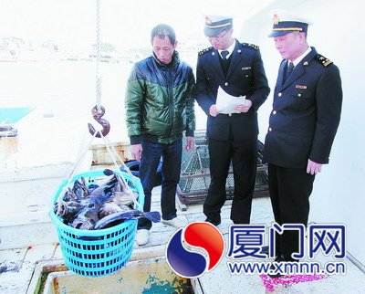 东山港码头
