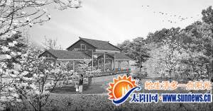 天竺山森林公园玉兰花谷效果图。