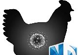 H7N9卷土重来
